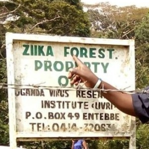 30jan-2016---a-floresta-zika-nao-e-tao-conhecida-em-uganda-na-verdade-a-maioria-das-pessoas-nem-sequer-sabe-exatamente-onde-ela-fica-1454146913520_300x300