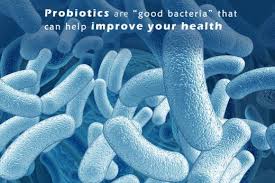 probióticos