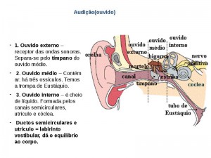 E-Book Inoaudio 2, PDF, Perda de Audição