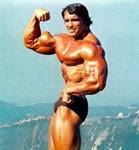 Arnold.jpeg