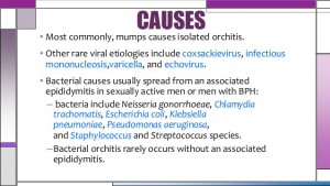 orchitis-epididymitis-6-638
