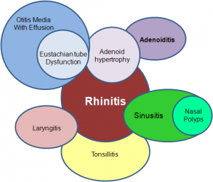 rhinitis-constellation