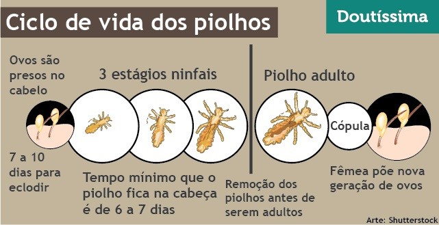 Doenças Que O Piolho Transmite
